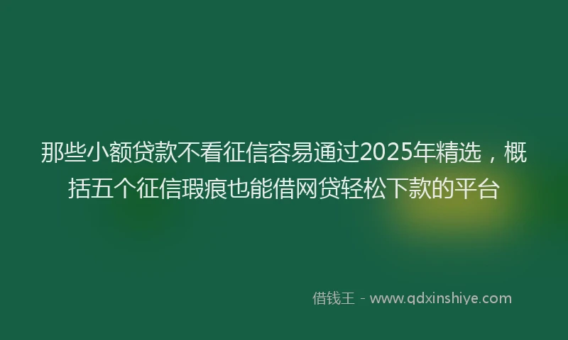 那些小额贷款不看征信容易通过2025年精选，概括五个征信瑕疵也能借网贷轻松下款的平台