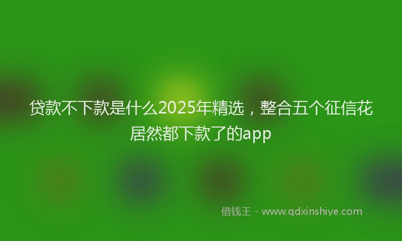 贷款不下款是什么2025年精选，整合五个征信花居然都下款了的app