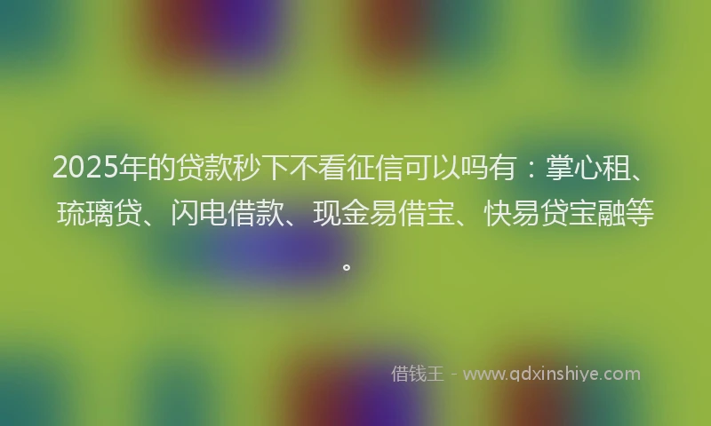2025年的贷款秒下不看征信可以吗有：掌心租、琉璃贷、闪电借款、现金易借宝、快易贷宝融等。