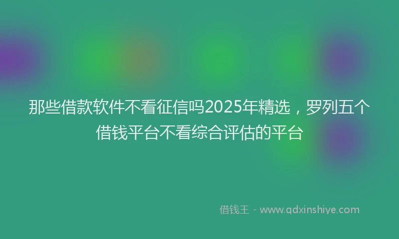 那些借款软件不看征信吗2025年精选，罗列五个借钱平台不看综合评估的平台
