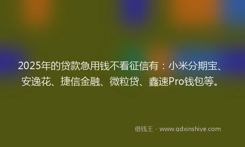 2025年的贷款急用钱不看征信有：小米分期宝、安逸花、捷信金融、微粒贷、鑫速Pro钱包等。