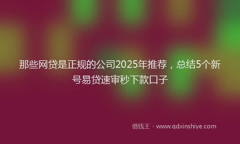那些网贷是正规的公司2025年推荐，总结5个新号易贷速审秒下款口子