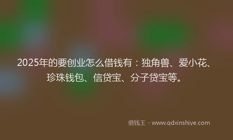 2025年的要创业怎么借钱有：独角兽、爱小花、珍珠钱包、信贷宝、分子贷宝等。