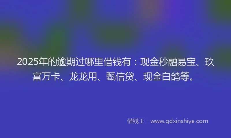 2025年的逾期过哪里借钱有：现金秒融易宝、玖富万卡、龙龙用、甄信贷、现金白鸽等。