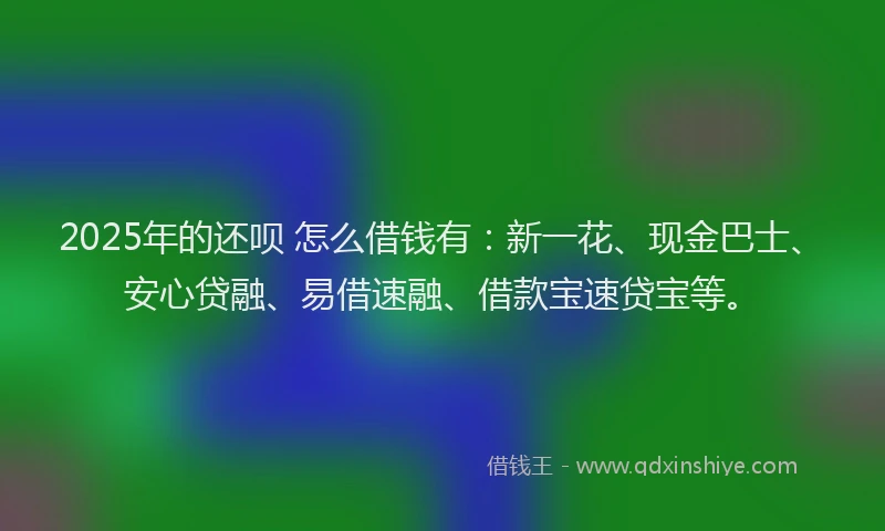 2025年的还呗 怎么借钱有：新一花、现金巴士、安心贷融、易借速融、借款宝速贷宝等。