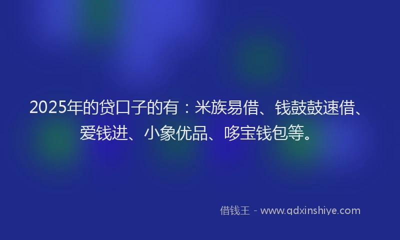 2025年的贷口子的有：米族易借、钱鼓鼓速借、爱钱进、小象优品、哆宝钱包等。