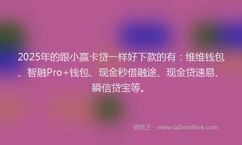 2025年的跟小赢卡贷一样好下款的有：维维钱包、智融Pro+钱包、现金秒借融途、现金贷速易、瞬信贷宝等。