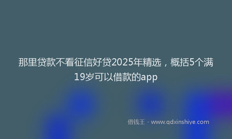 那里贷款不看征信好贷2025年精选，概括5个满19岁可以借款的app