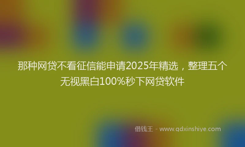 那种网贷不看征信能申请2025年精选，整理五个无视黑白100%秒下网贷软件