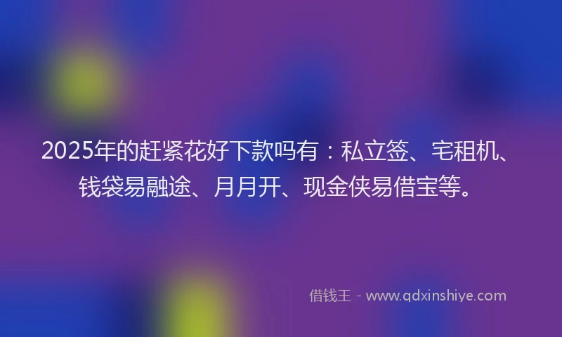 2025年的赶紧花好下款吗有：私立签、宅租机、钱袋易融途、月月开、现金侠易借宝等。