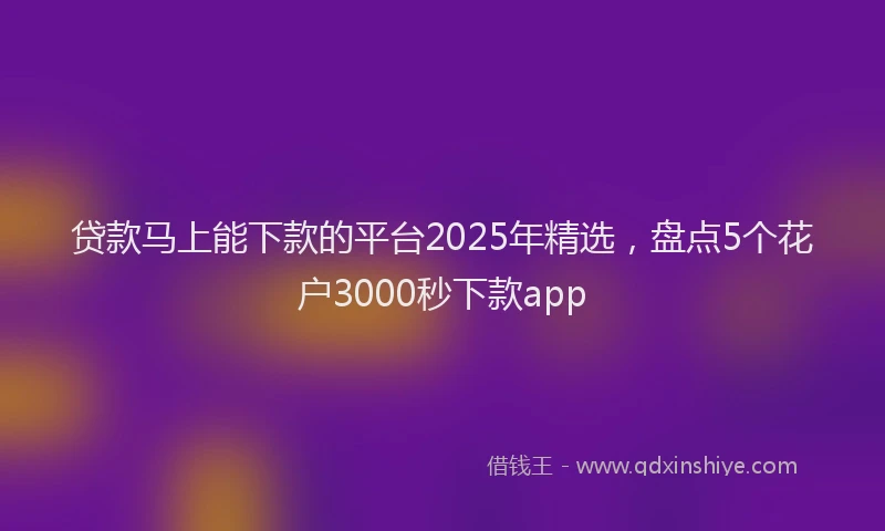 贷款马上能下款的平台2025年精选，盘点5个花户3000秒下款app