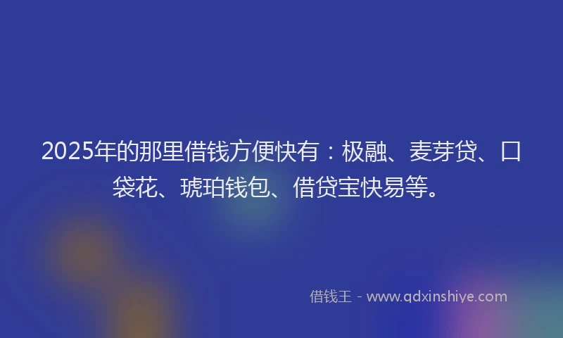 2025年的那里借钱方便快有：极融、麦芽贷、口袋花、琥珀钱包、借贷宝快易等。