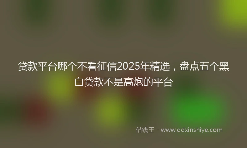 贷款平台哪个不看征信2025年精选，盘点五个黑白贷款不是高炮的平台
