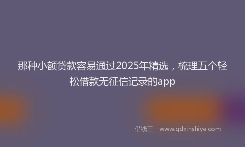那种小额贷款容易通过2025年精选，梳理五个轻松借款无征信记录的app
