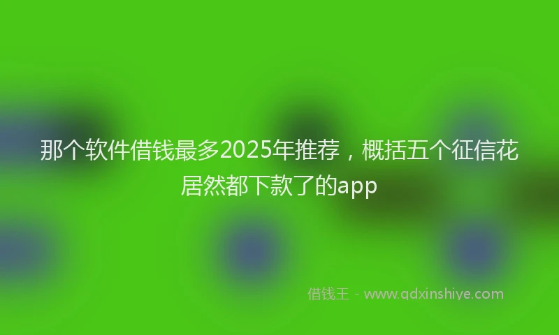 那个软件借钱最多2025年推荐，概括五个征信花居然都下款了的app