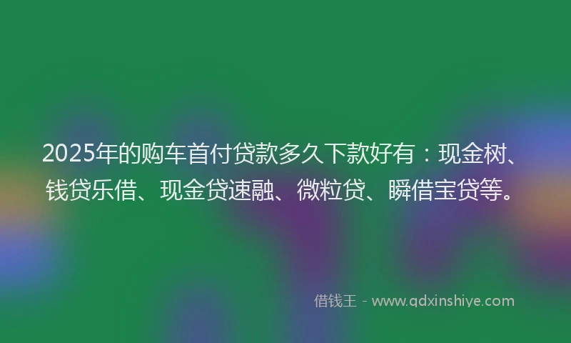 2025年的购车首付贷款多久下款好有：现金树、钱贷乐借、现金贷速融、微粒贷、瞬借宝贷等。