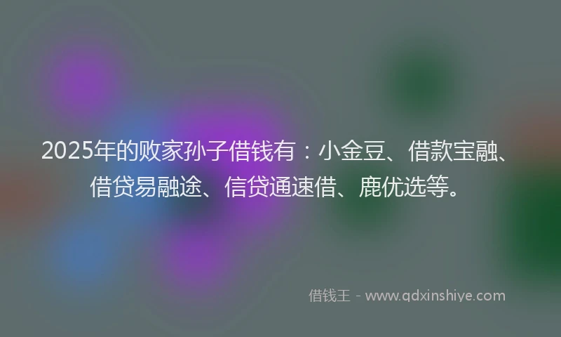 2025年的败家孙子借钱有：小金豆、借款宝融、借贷易融途、信贷通速借、鹿优选等。