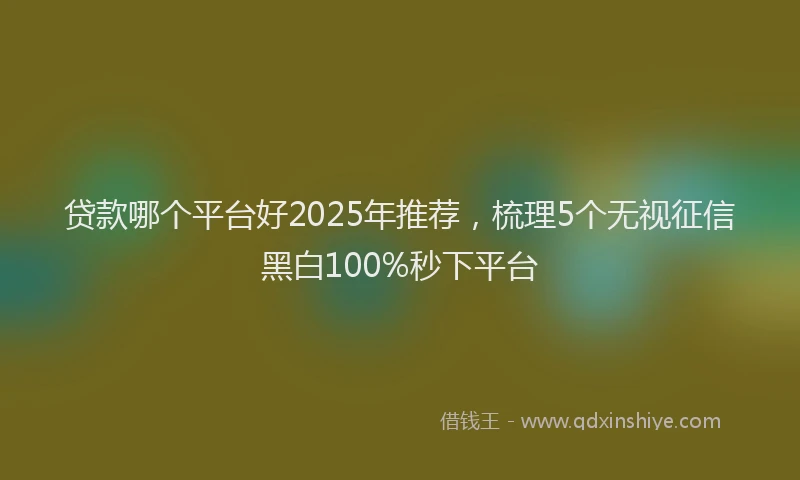 贷款哪个平台好2025年推荐，梳理5个无视征信黑白100%秒下平台