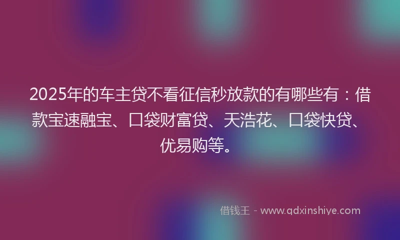 2025年的车主贷不看征信秒放款的有哪些有：借款宝速融宝、口袋财富贷、天浩花、口袋快贷、优易购等。