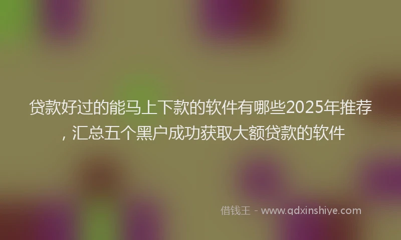 贷款好过的能马上下款的软件有哪些2025年推荐，汇总五个黑户成功获取大额贷款的软件