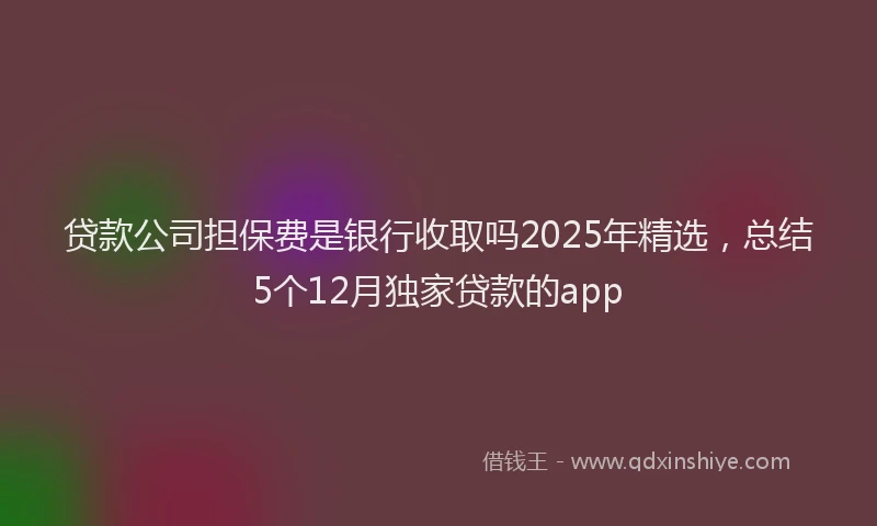 贷款公司担保费是银行收取吗2025年精选，总结5个12月独家贷款的app
