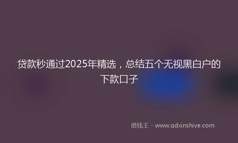 贷款秒通过2025年精选，总结五个无视黑白户的下款口子