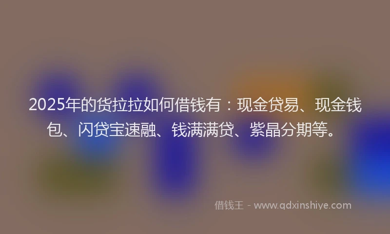 2025年的货拉拉如何借钱有：现金贷易、现金钱包、闪贷宝速融、钱满满贷、紫晶分期等。