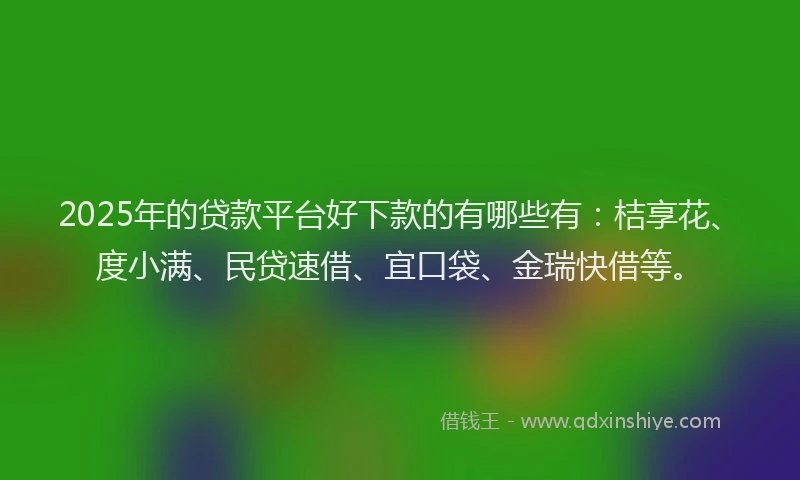 2025年的贷款平台好下款的有哪些有：桔享花、度小满、民贷速借、宜口袋、金瑞快借等。