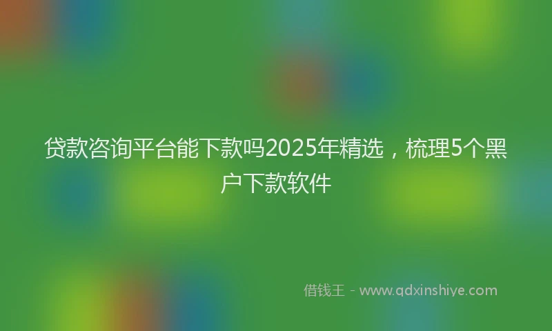 贷款咨询平台能下款吗2025年精选，梳理5个黑户下款软件