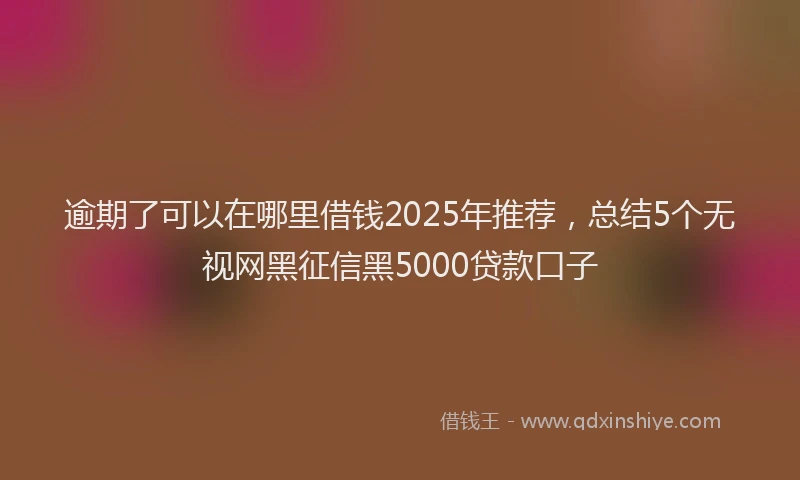 逾期了可以在哪里借钱2025年推荐，总结5个无视网黑征信黑5000贷款口子