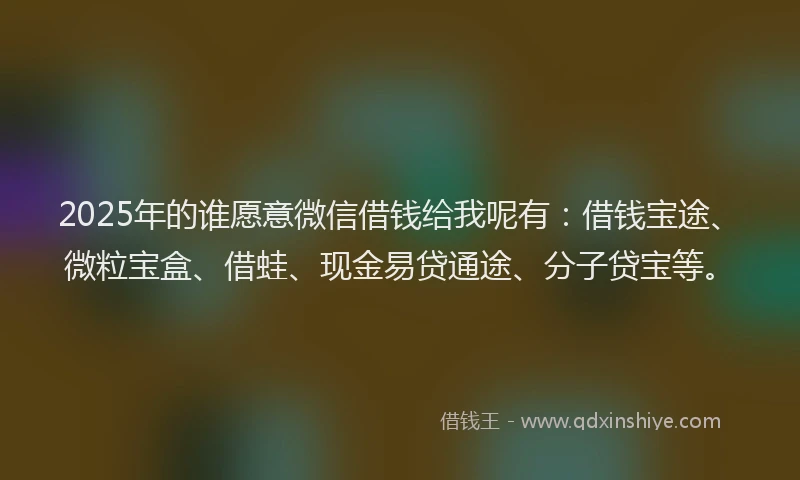 2025年的谁愿意微信借钱给我呢有：借钱宝途、微粒宝盒、借蛙、现金易贷通途、分子贷宝等。