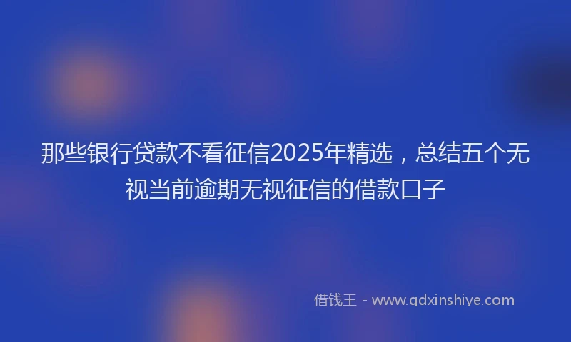 那些银行贷款不看征信2025年精选，总结五个无视当前逾期无视征信的借款口子