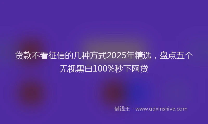 贷款不看征信的几种方式2025年精选，盘点五个无视黑白100%秒下网贷