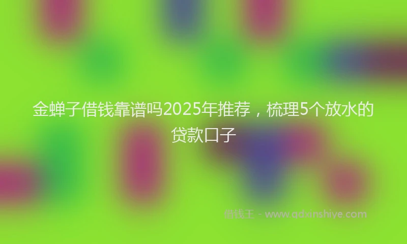 金蝉子借钱靠谱吗2025年推荐，梳理5个放水的贷款口子