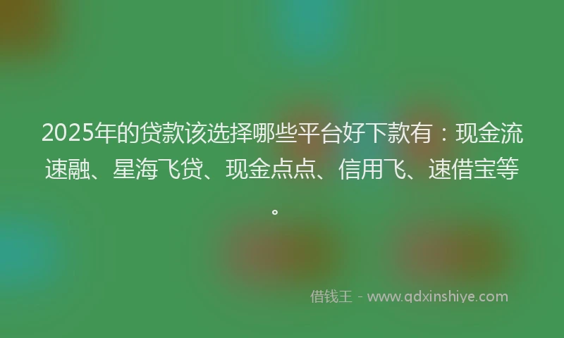 2025年的贷款该选择哪些平台好下款有：现金流速融、星海飞贷、现金点点、信用飞、速借宝等。