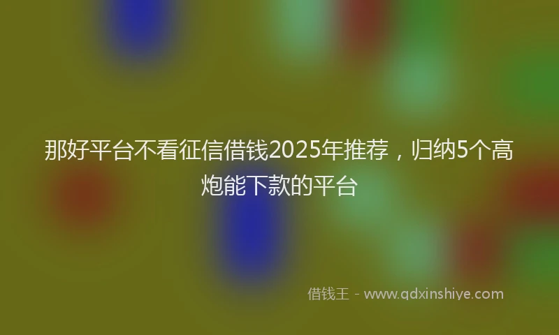 那好平台不看征信借钱2025年推荐，归纳5个高炮能下款的平台