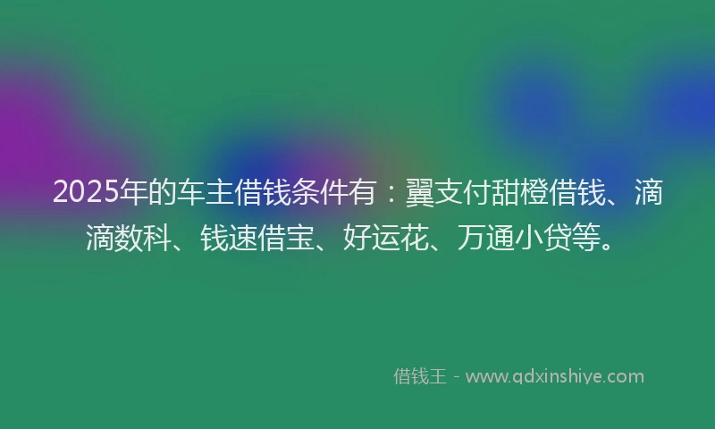2025年的车主借钱条件有：翼支付甜橙借钱、滴滴数科、钱速借宝、好运花、万通小贷等。