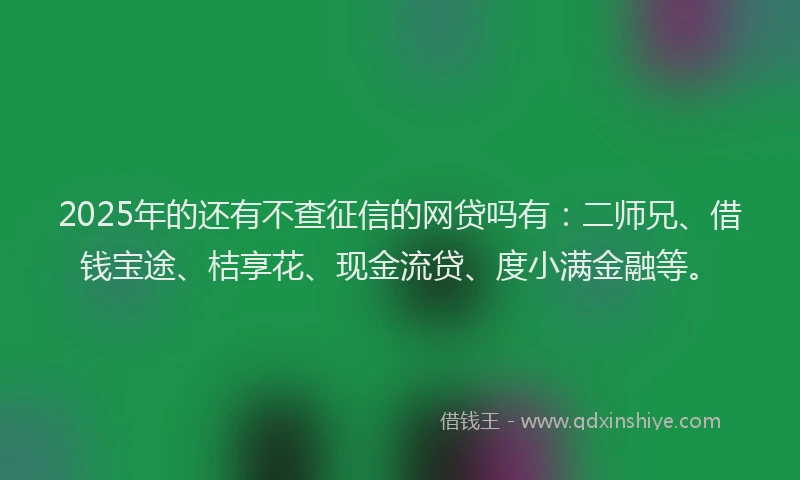 2025年的还有不查征信的网贷吗有：二师兄、借钱宝途、桔享花、现金流贷、度小满金融等。