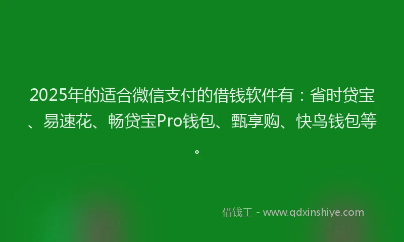 2025年的适合微信支付的借钱软件有：省时贷宝、易速花、畅贷宝Pro钱包、甄享购、快鸟钱包等。