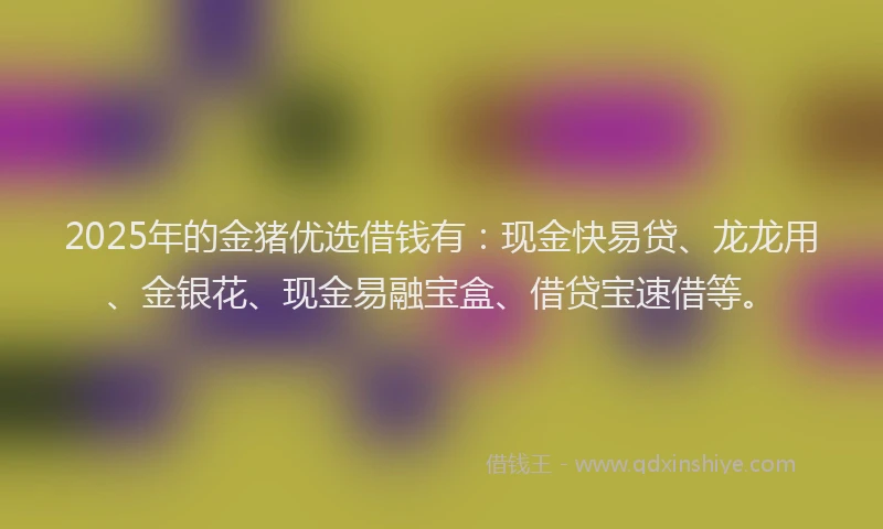 2025年的金猪优选借钱有：现金快易贷、龙龙用、金银花、现金易融宝盒、借贷宝速借等。