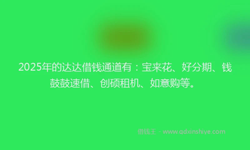 2025年的达达借钱通道有：宝来花、好分期、钱鼓鼓速借、创硕租机、如意购等。