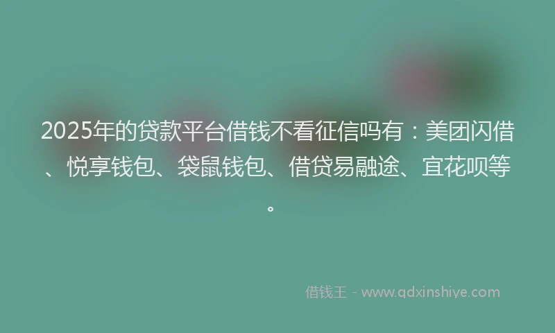 2025年的贷款平台借钱不看征信吗有：美团闪借、悦享钱包、袋鼠钱包、借贷易融途、宜花呗等。
