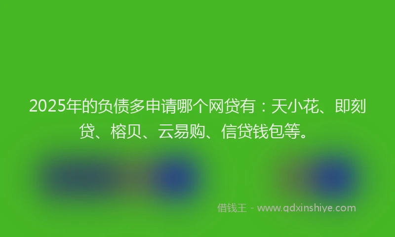 2025年的负债多申请哪个网贷有：天小花、即刻贷、榕贝、云易购、信贷钱包等。