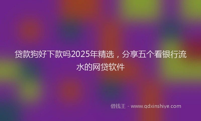 贷款狗好下款吗2025年精选，分享五个看银行流水的网贷软件