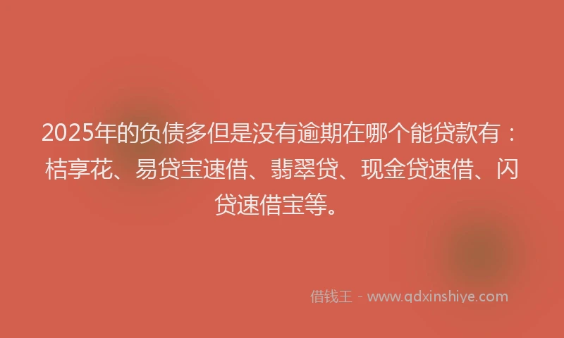 2025年的负债多但是没有逾期在哪个能贷款有：桔享花、易贷宝速借、翡翠贷、现金贷速借、闪贷速借宝等。