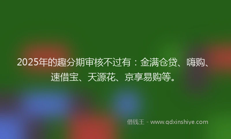 2025年的趣分期审核不过有：金满仓贷、嗨购、速借宝、天源花、京享易购等。