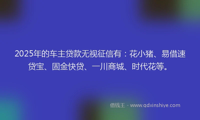 2025年的车主贷款无视征信有：花小猪、易借速贷宝、固金快贷、一川商城、时代花等。