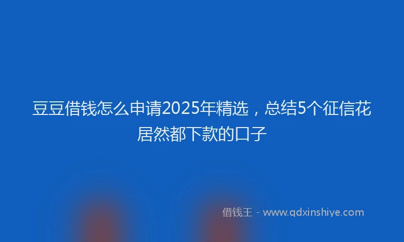 豆豆借钱怎么申请2025年精选，总结5个征信花居然都下款的口子