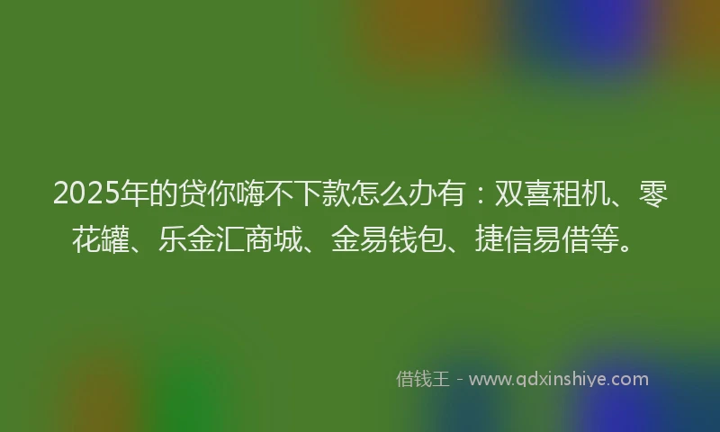 2025年的贷你嗨不下款怎么办有：双喜租机、零花罐、乐金汇商城、金易钱包、捷信易借等。