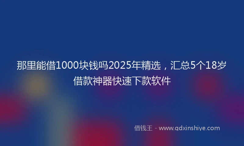 那里能借1000块钱吗2025年精选，汇总5个18岁借款神器快速下款软件